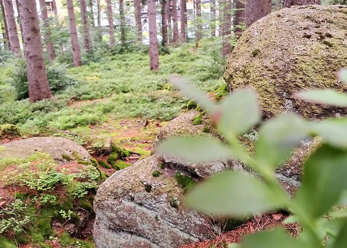 Nad Zlotym Potokiem Appartamento
