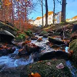 Nad Zlotym Potokiem *
