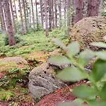 Nad Zlotym Potokiem Lägenhet