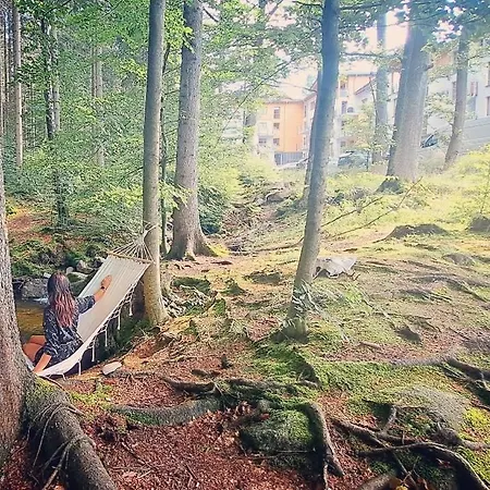 Apartament Nad Złotym Potokiem