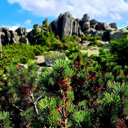 Apartament Nad Złotym Potokiem Szklarska Poręba
