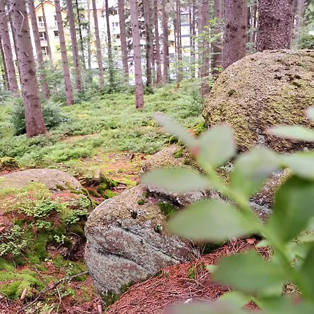 Nad Złotym Potokiem Apartament