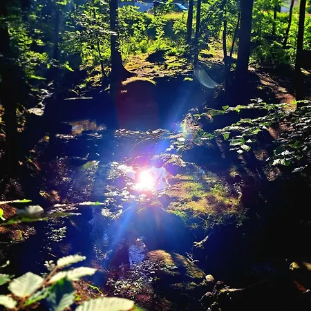 Nad Złotym Potokiem