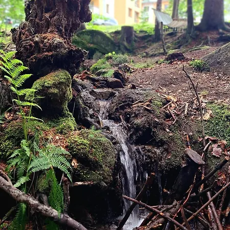 Nad Złotym Potokiem Apartament *