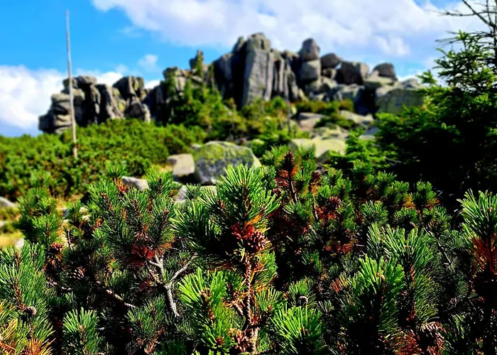 Appartement Nad Zlotym Potokiem Szklarska Poreba