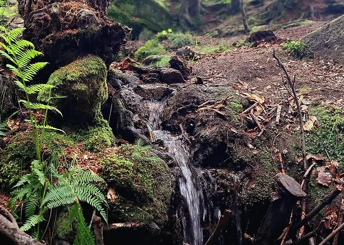 Nad Zlotym Potokiem Appartement *